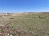 24105 State Highway 86 - Photo 4