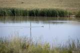 24105 State Highway 86 - Photo 9