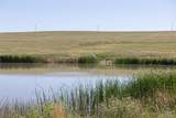 24105 State Highway 86 - Photo 10