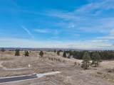 7953 Star Lily Court - Photo 20