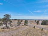 7953 Star Lily Court - Photo 24