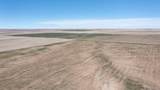 10573 County Road 165 - Photo 45