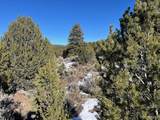 Lot 7860 Platten Road - Photo 12