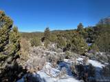 Lot 7860 Platten Road - Photo 10