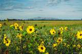 0000 Big Sky Trail - Photo 13