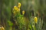 0000 Big Sky Trail - Photo 29