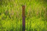 0000 Big Sky Trail - Photo 30