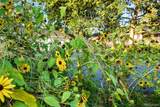 1101 Pikeview Street - Photo 40