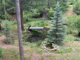 9716 Canon Drive - Photo 43