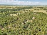 10445 Empire Drive - Photo 41