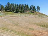46 Canyon Pines Drive - Photo 7