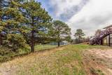 19855 Draco Drive - Photo 4