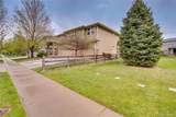 1033 Petras Street - Photo 38