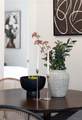 4301 Grant Street - Photo 11