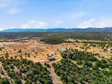 7825 Soda Creek Road - Photo 19