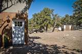 4352 Rarity Way - Photo 8