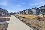 7283 Goldbloom Lane - Photo 42