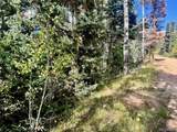 Lot 2843 Wendt Lane - Photo 13