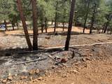 15421 Westcreek Road - Photo 7
