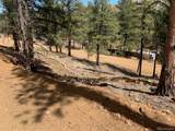 15421 Westcreek Road - Photo 8