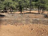 15421 Westcreek Road - Photo 9