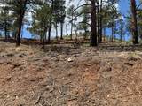 15421 Westcreek Road - Photo 10