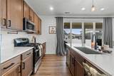 1228 Argali Drive - Photo 5