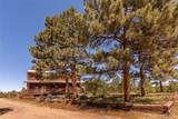 24401 County Road 44 - Photo 43