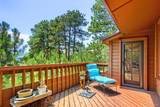 23925 Currant Drive - Photo 12