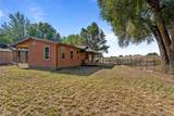 905 Damson Street - Photo 49