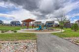 13984 Scarlet Sage Street - Photo 46