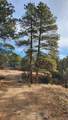 TBD L 7th Trail - Photo 23
