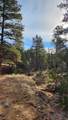 TBD L 7th Trail - Photo 24