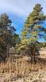 TBD L 7th Trail - Photo 27