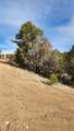 TBD L 7th Trail - Photo 30