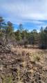 TBD L 7th Trail - Photo 34