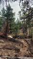 TBD L 7th Trail - Photo 39