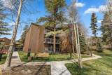 393 Wild Irishman Road - Photo 30