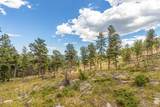13144 Pine Country Lane - Photo 36