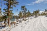 13144 Pine Country Lane - Photo 38