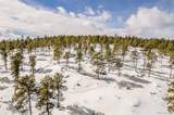 13144 Pine Country Lane - Photo 44