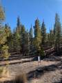 180 Peak View Drive - Photo 2