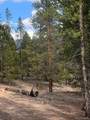 180 Peak View Drive - Photo 8