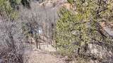 513 Last Dollar Drive - Photo 12
