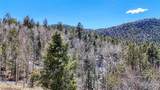513 Last Dollar Drive - Photo 10