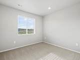 1629 Yampa River Drive - Photo 15