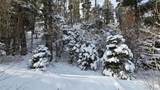 Lot 5540 Joy Road - Photo 2