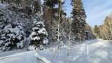 Lot 5540 Joy Road - Photo 3