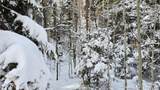 Lot 5540 Joy Road - Photo 6