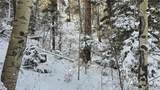 Lot 5540 Joy Road - Photo 7